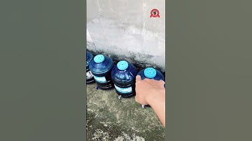 Bao lâu anh em thay nước keo Form cá lóc