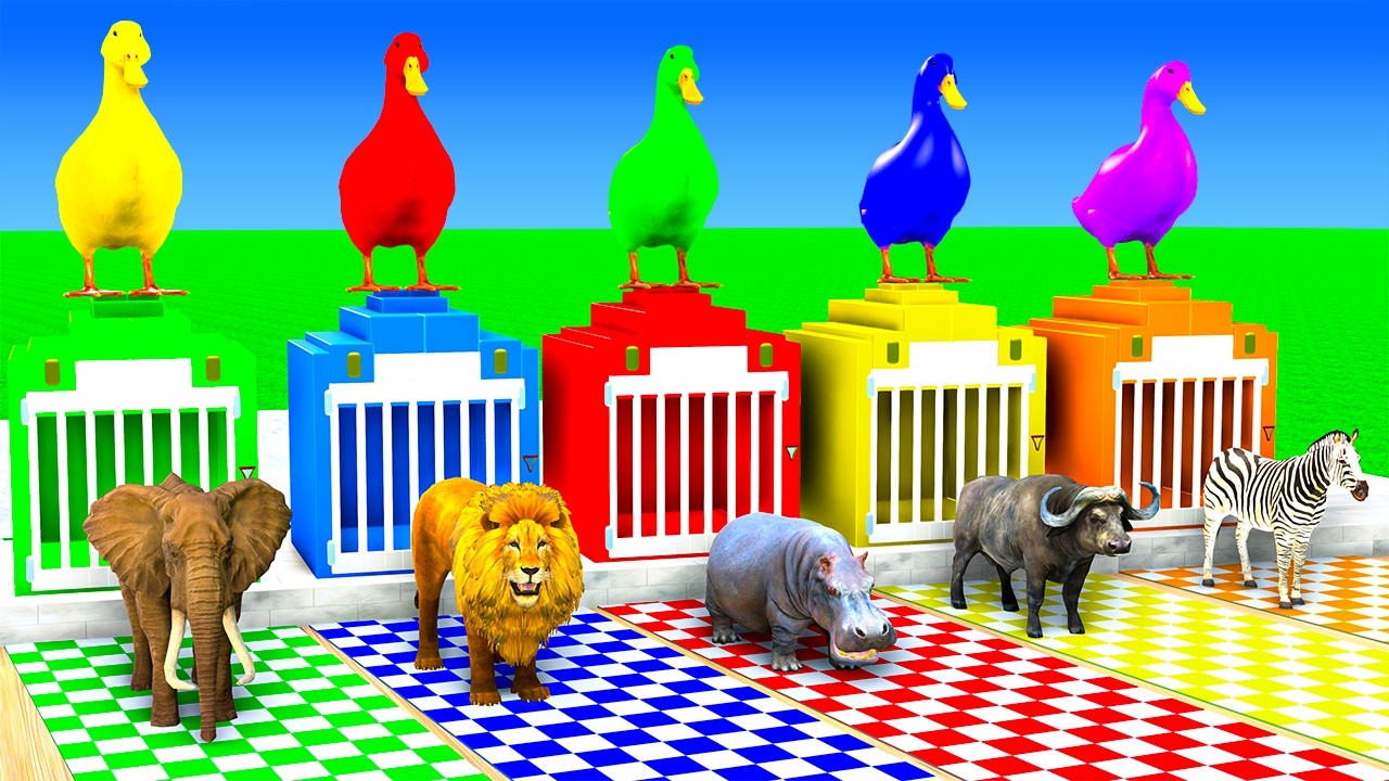 Long Slide Game with Cow Elephant Gorilla Hippopotamus Tiger 3d Animal Game Funny 3d Animals