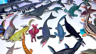 Marine Reptiles Collection - Mosasaurus, Tylosaurus, Elamosaurus, Kronosaurus, Dunkleosteus