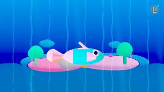 How Do Fish Breathe Underwater? | Lumie &amp; Friends 🐠
