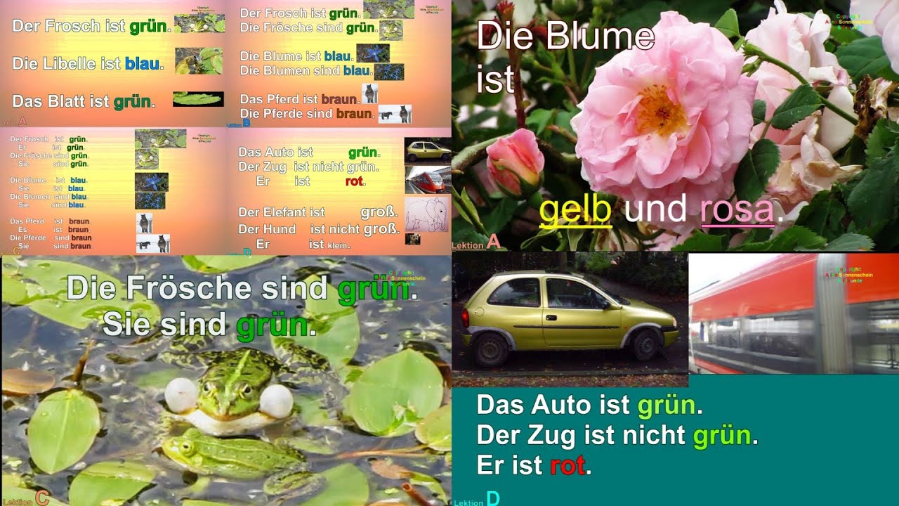 Einfache Sätze, Farben S. 16a-d  (Er/Sie/Es... ist, Sie sind...) DaF/DaZ Deutsch A1 lernen