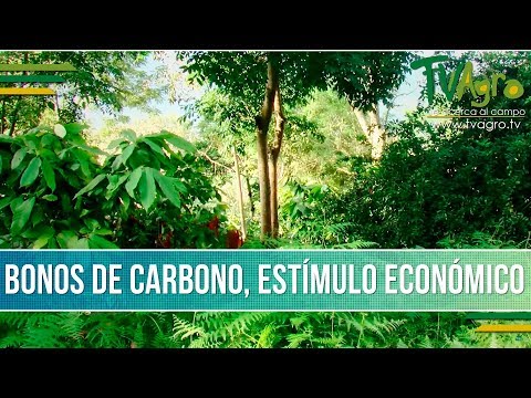 Que son los Bonos de Carbono - TvAgro por Juan Gonzalo Angel