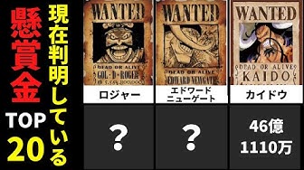 ワンピース1017 Youtube ワンピース1017 Youtube