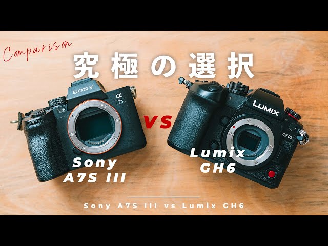 MINOLTA Nikon LUMIX cyber shot 他　カメラ　まとめ わたしのカメラ遍歴〜フィルムカメラ編 その2〜 | BORN SURE blog