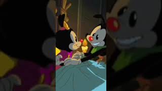 Wakko Loves Dot - Wakko X Dot Moments Scenes