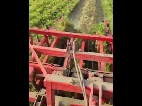 قلاعة فستق صناعة تركيا 00905314860579