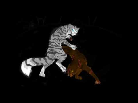 [Коты Воители] Серебряный Ястреб (мой персонаж) ~ Phenomenon ~ {Edit}