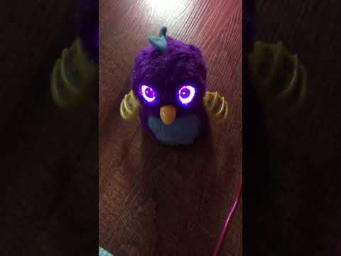 Does my Hatchimal