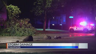 Fallen tree in Champaign shuts down lane on Springfield Avenue overnight