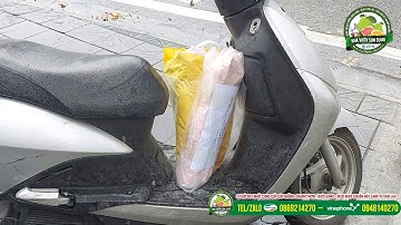 Cung cấp mắt ghép bưởi Ruby Thái Lan để ghép cải tạo