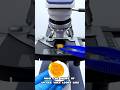 What is actually inside an egg yolk? Take a look under a microscope! 🔍😱। #usa #shorts#EggYolk