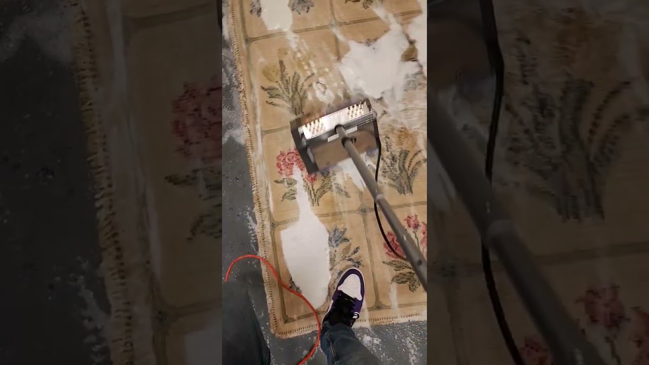 Portuguese needlepoint rug with dog poop getting cleaned.