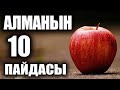 Алманын сиз билбеген 10 пайдасы / Пайдалуу Кеңештер