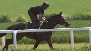 Clare Balding's Derby Memories | Investec Derby 2018 Profile
