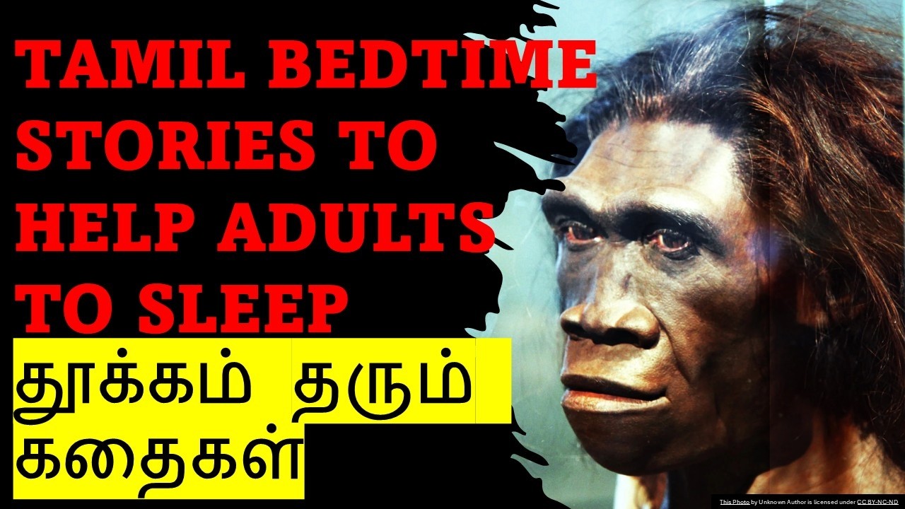 ஆரம்ப மனிதர்களின் கதை | Early Human Life | Boring Bedtime Stories for Adults in Tamil | Black Screen