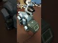 Jumpy on the Station