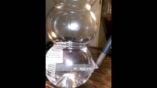Pom Bong Slowmo
