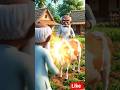 ek se double Ho Gaya#funny #entertainment