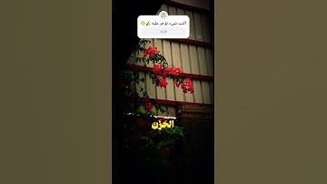 وقالوا الحمد لله الذي أذهب عنا الحَزَن ❤️‍🩹 | تلاوة خاشعة هادئة من سورة فاطر 🤍