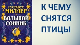 К чему снятся птицы. Сонник Миллера. Толкование снов. К чему снятся птицы. Сонник Миллера. Толкование снов.