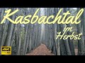 Kasbachtal near Linz am Rhein Germany: Motorcycle ride and hike in fall 4K