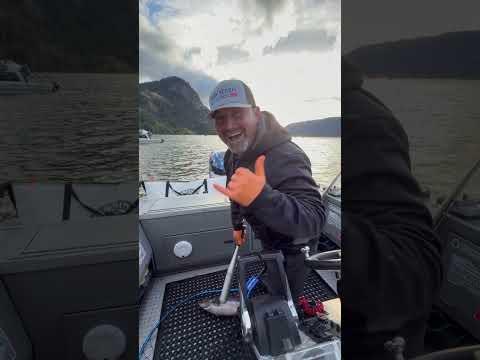 Hover Fishing for Big Kings on Drano Lake!