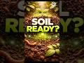 Soil Zinda Kab Hogi? Part-2 | #shorts
