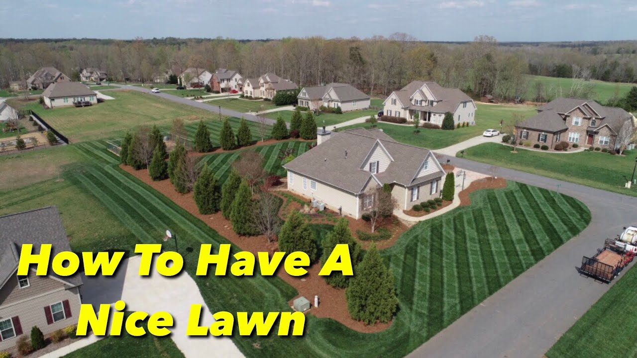 5 Steps To A Nice Lawn You 5 Steps To A Nice Lawn You
