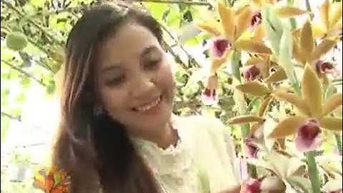 [VUI SỐNG MỖI NGÀY] Làng hoa Sa Đéc mùa Tết