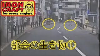 その他・諸々 - YouTube