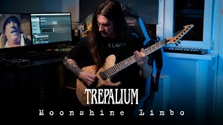 Trepalium - Moonshine Limbo (guitar cover)
