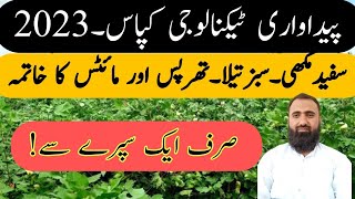 How to control sucking insect pests of cotton || Bilal Kanju Official