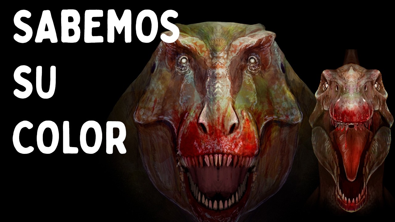 (Casi) 20 Minutos De Datos De Dinosaurios Que No Sabías Que Necesitabas Saber