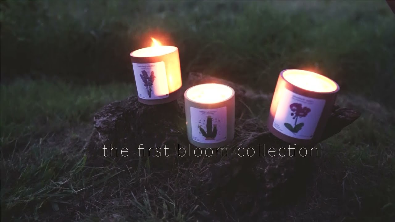 lifebloom presents || THE FIRST BLOOM COLLECTION