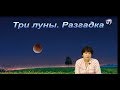 Три луны. Разгадка. Школа Разума 15