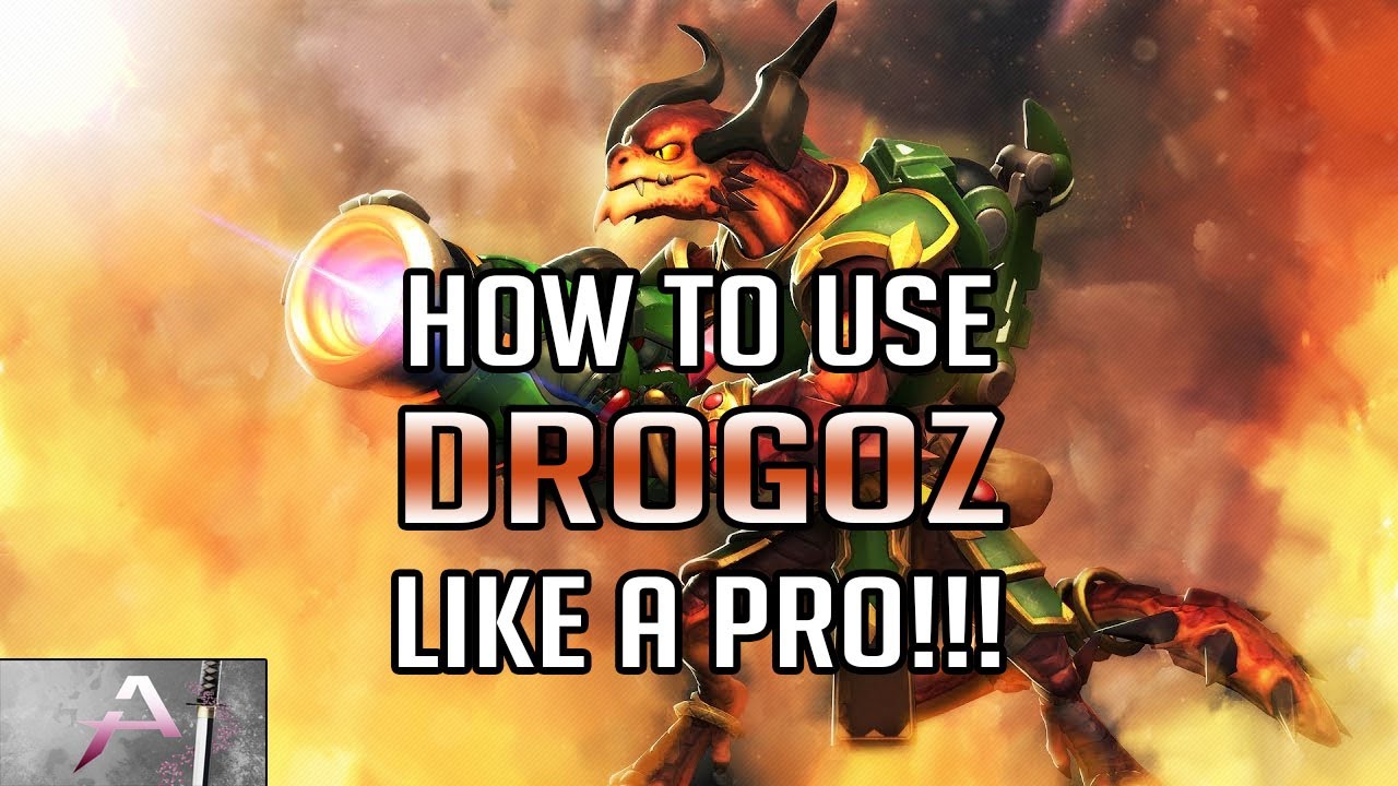 [Paladins] Drogoz Pro Guide