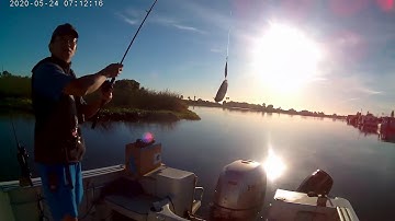 Sunfran Smart Jigger Jigging Machine Catches Fish, 5/24/2020, 7:11am