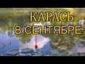 Как ловить карася в Сентябре? Рыбалка на поплавок.