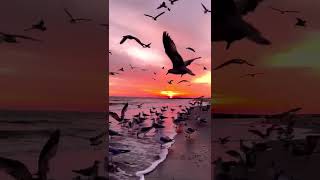 Love Frequency Abundance Blessing attract yourself💖 Deep Meditation That Opens Your Heart#ytshorts