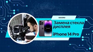 Замена стекла дисплея iPhone 14 Pro Алматы