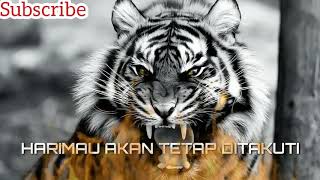 STORY WA Khodam Macan Putih