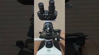 Microscope slide preparation guide #tutorial #science