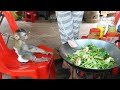 Monkey Baby Donal Want Waiting Test Food Mom Cooking