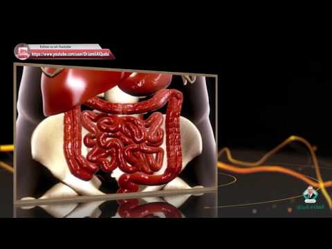 فكر الغذاء الميزان مأخوذ من القرآن الكريم اعط نفسك دقائق قليلة و استمع الى هذا الفيديو الرائع 