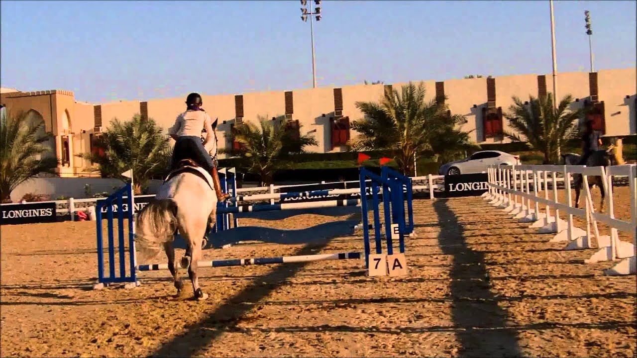 Future Grand Prix Show Jumping Horse for Sale. Avesta, Luxury Brokerage UAE