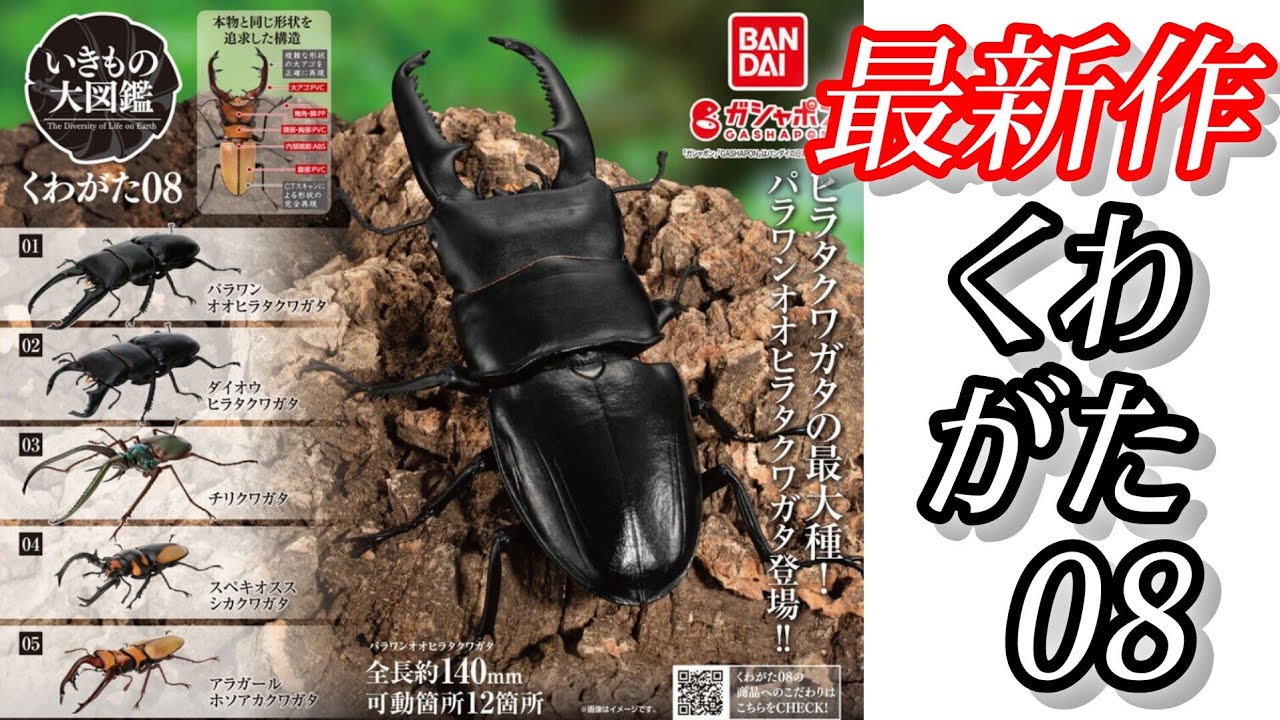 neru design works KUWAGATA クワガタ Capsule Toys] Unboxing & Reviewing the Newest 