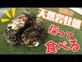 天然牡蠣採り編 :そのへんに生息している岩ガキを採って食べてみたら...