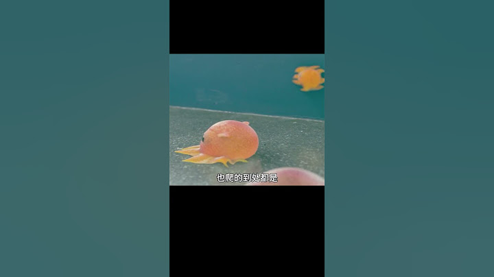 學校靠學生的笑聲鎮壓鬼怪《靈能教師安恩英》#shorts