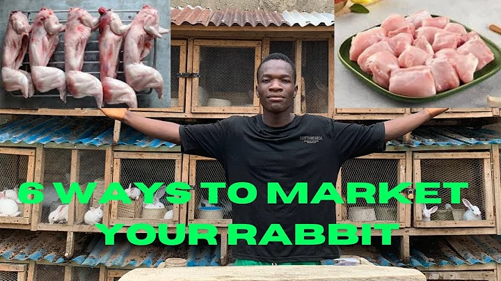 6 sätt att marknadsföra din kaninverksamhet