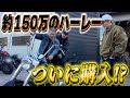 【夢のハーレー購入】芸歴14年目・米女、ついに念願のハーレー購入!?